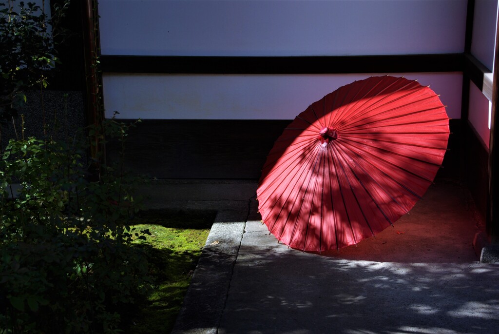 紅い和傘の優しさ。。。！
