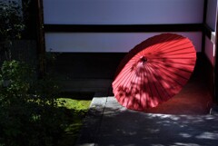 紅い和傘の優しさ。。。！
