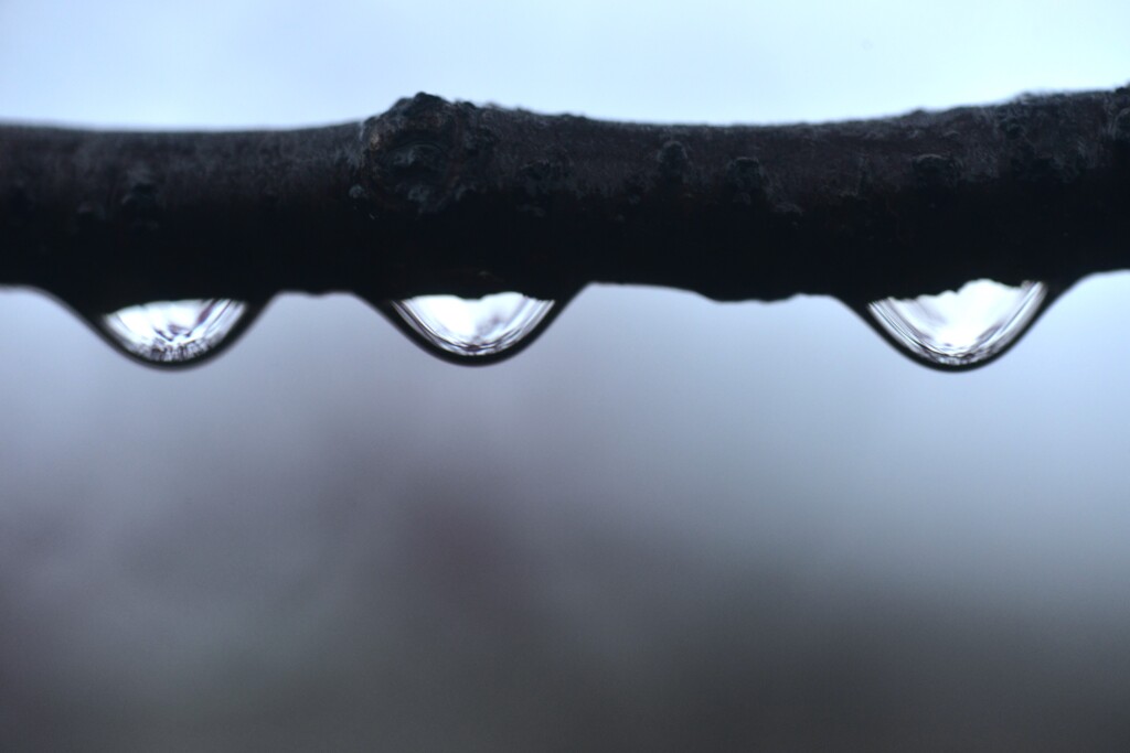 雨にも負けず　⑤。。。！