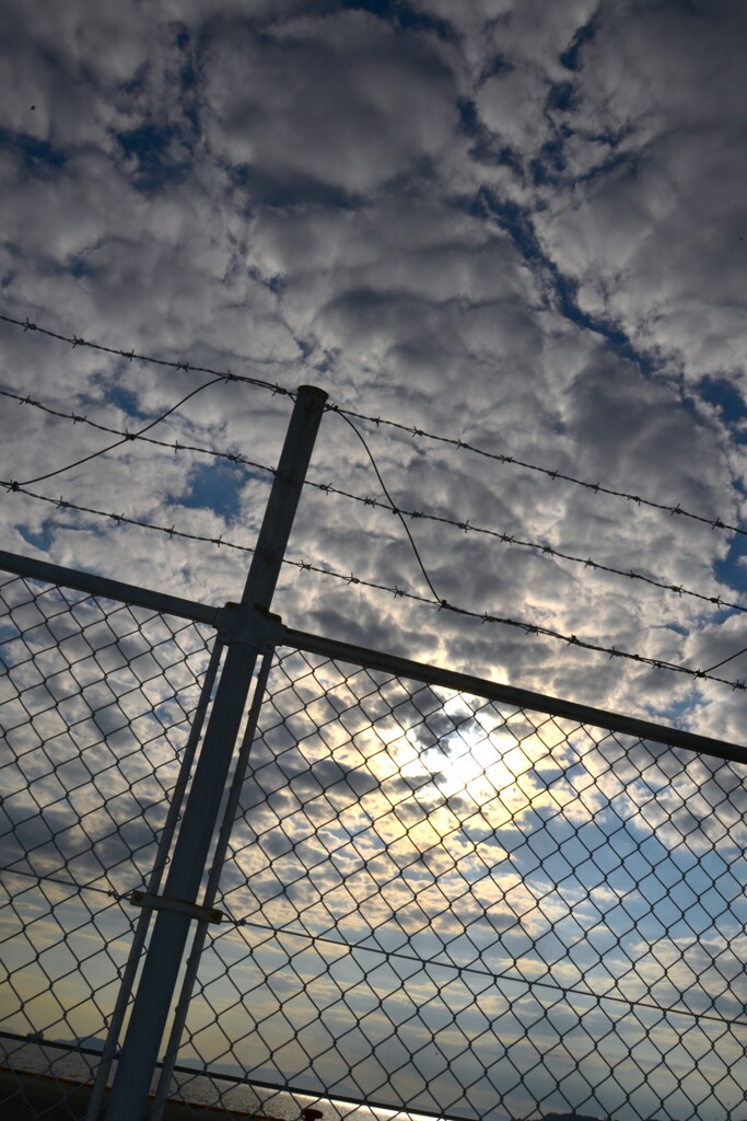 フェンス越しの空　②。。。！