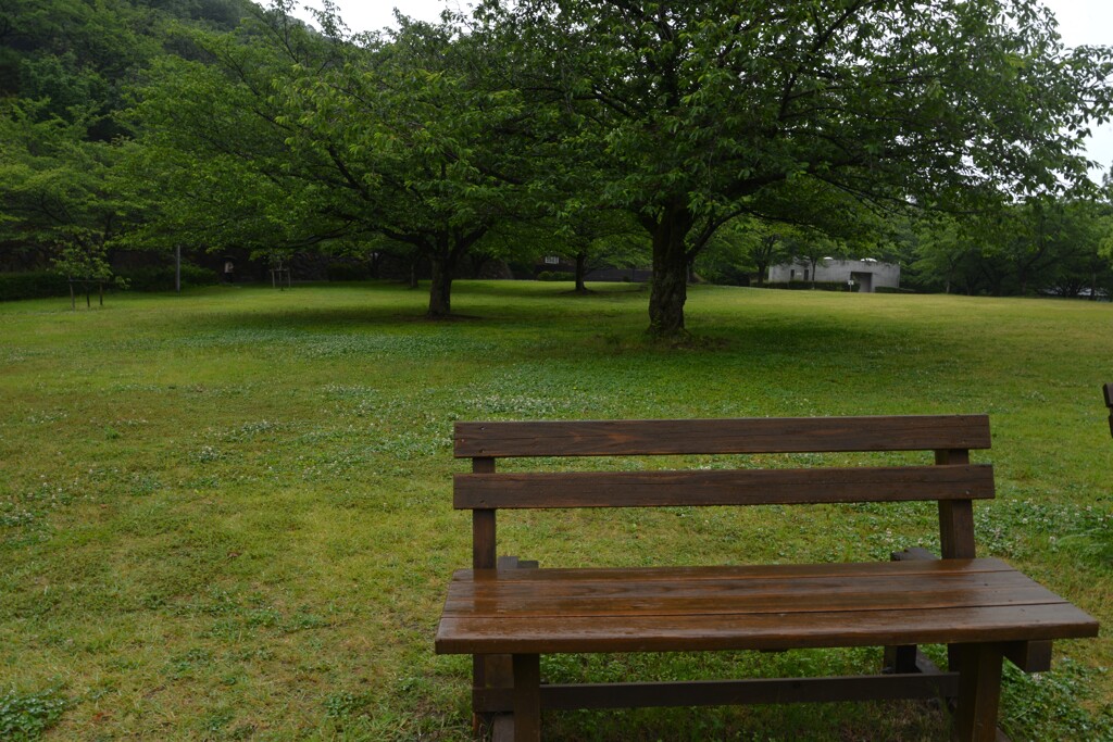 雨の公園　①。。。！