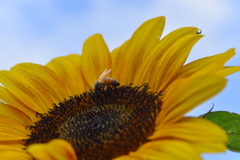 夏の恋人　④。。。！