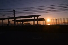 黄昏駅は夕焼けスポット　⑤。。。！