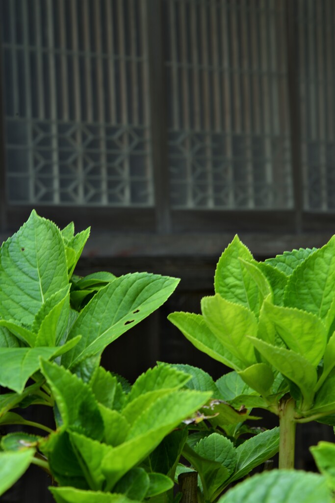 龍馬伝を思う　➁。。。！