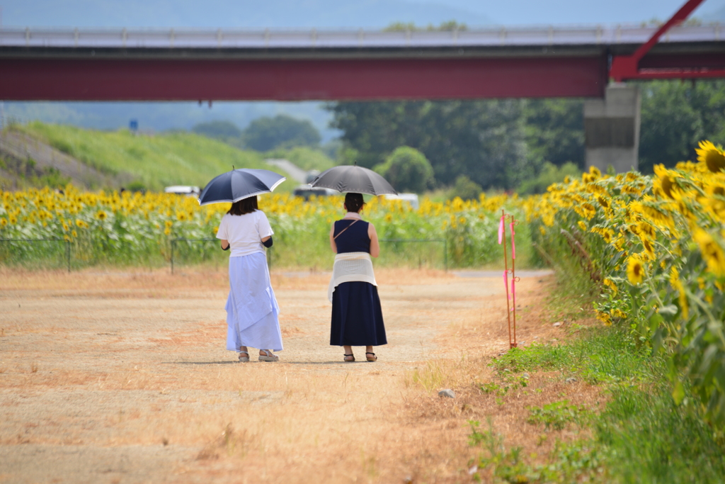 夏を詣でる。。。！
