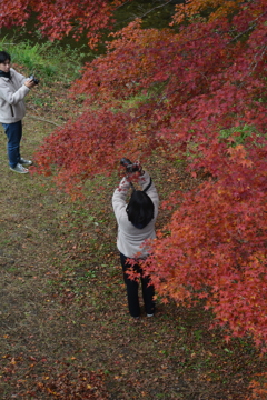 last　autumn 　➂。。。！