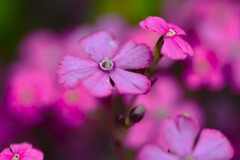 小さな公園　⑤。。。！