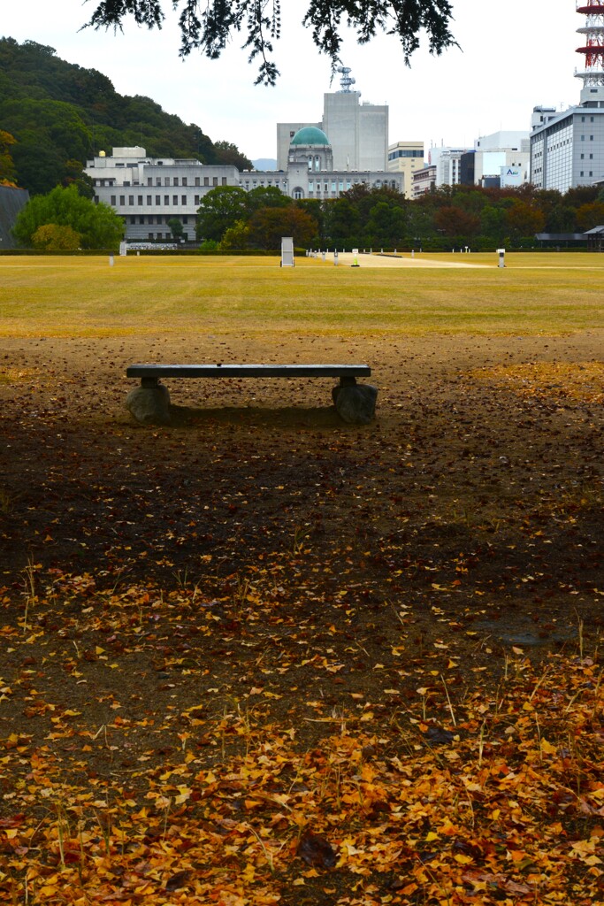 秋に染まる公園　➂。。。！