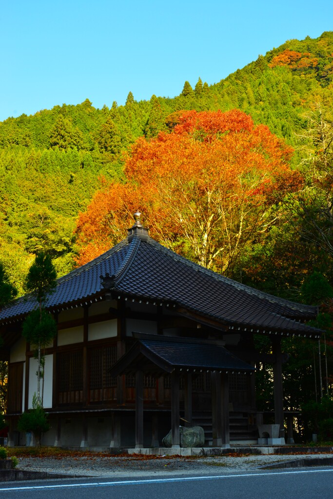 autumn gate　⑤。。。！