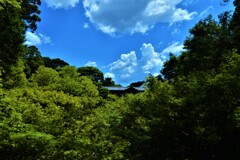 おきまりスポット。。。！