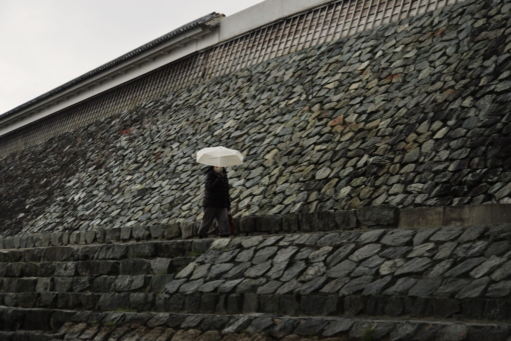 大洲．．春雨にけむる　➁。。。！