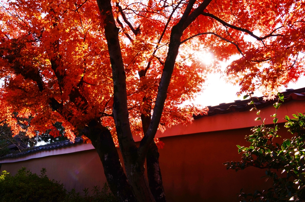 燃える残像。。。！