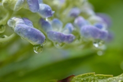 雨粒のシンフォニー　④。。。！