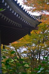 古刹②　西山興隆寺　⑤。。。！