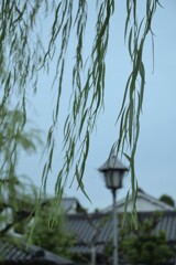 日常からの脱出　②。。。！