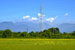 ひまわり畑と故郷の山　。。。！
