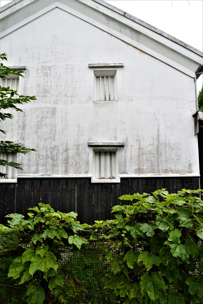 夏旅歩き　⑤。。。！