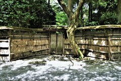龍安寺の夏　④。。。！