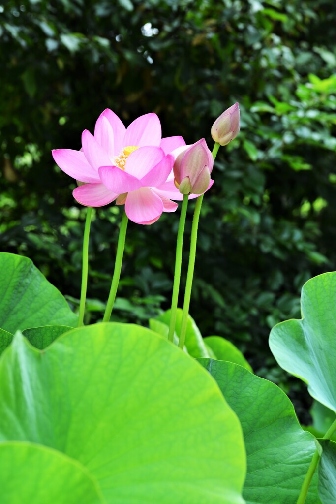 千年の宴　②。。。！