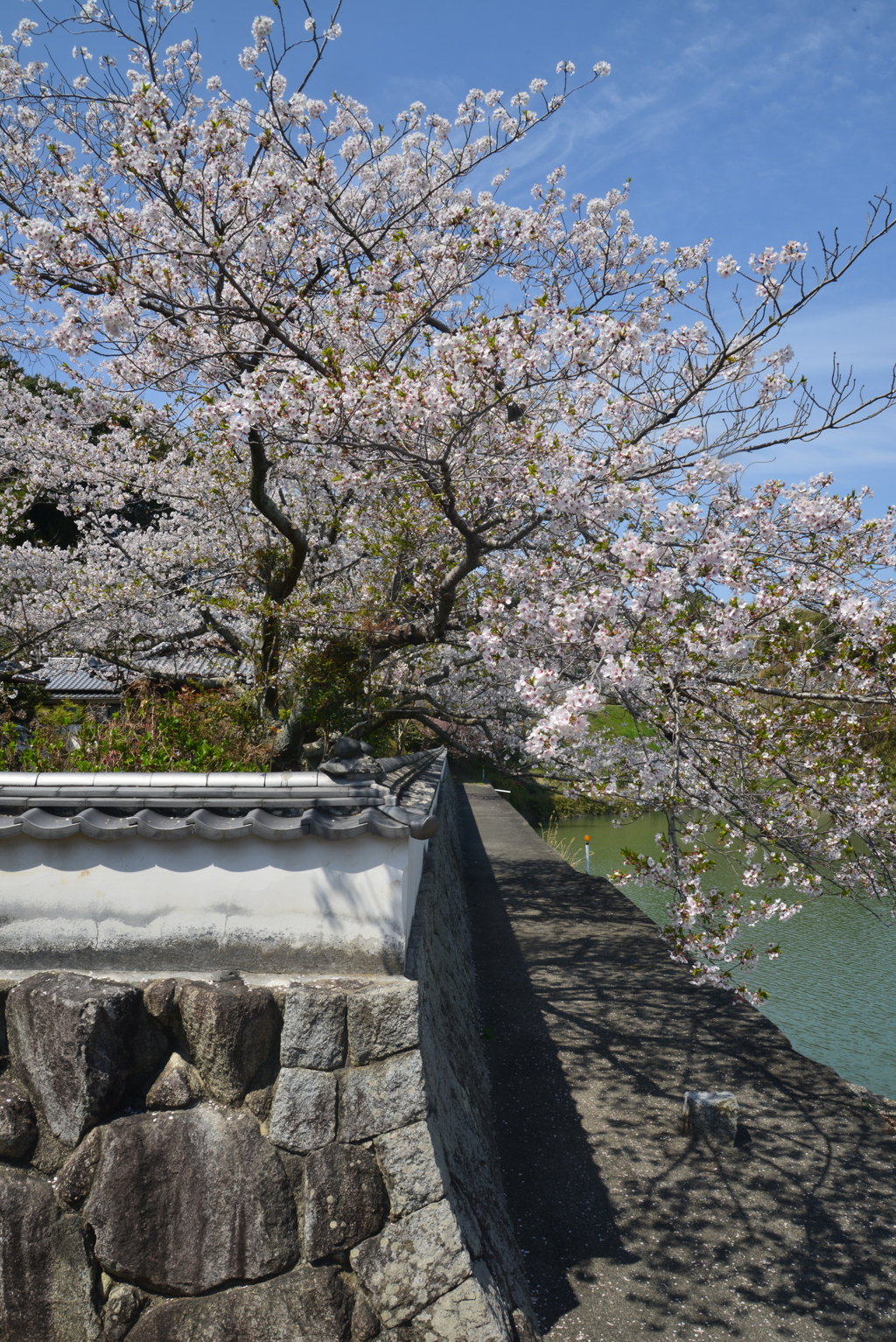 久妙寺．．贈る言葉　①。。。！