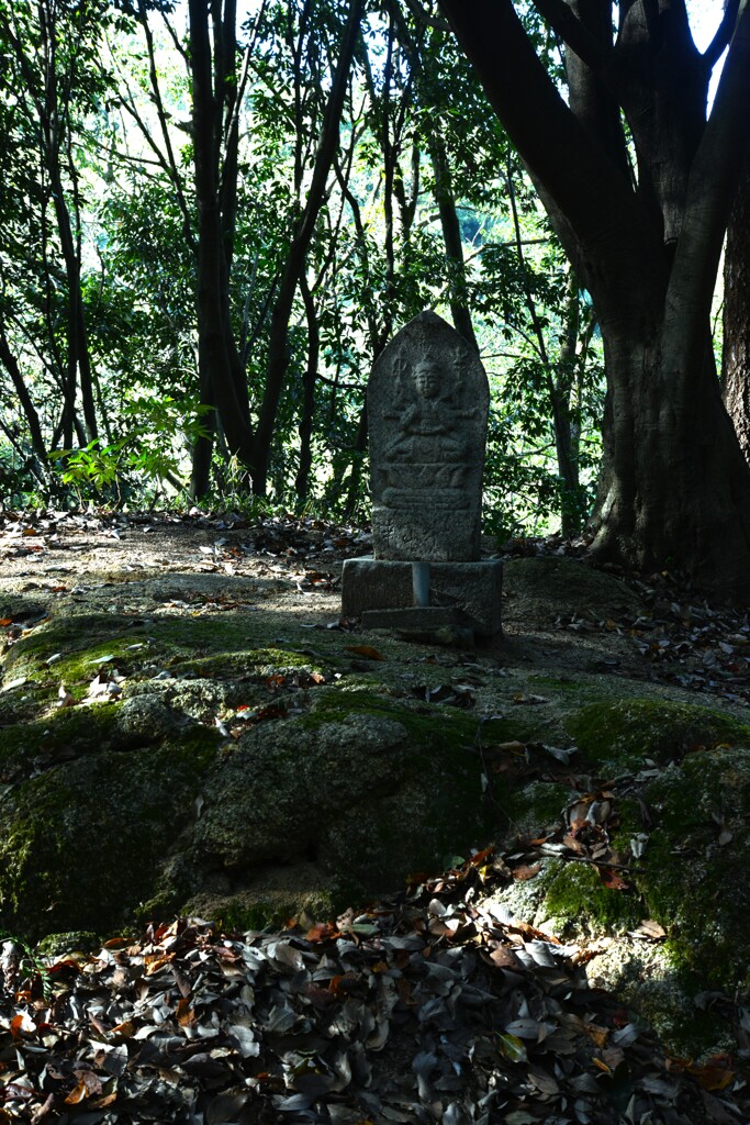 静かな秋の寺　④。。。！