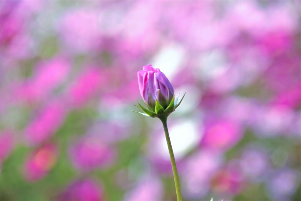 生まれたばかりの秋。。。！