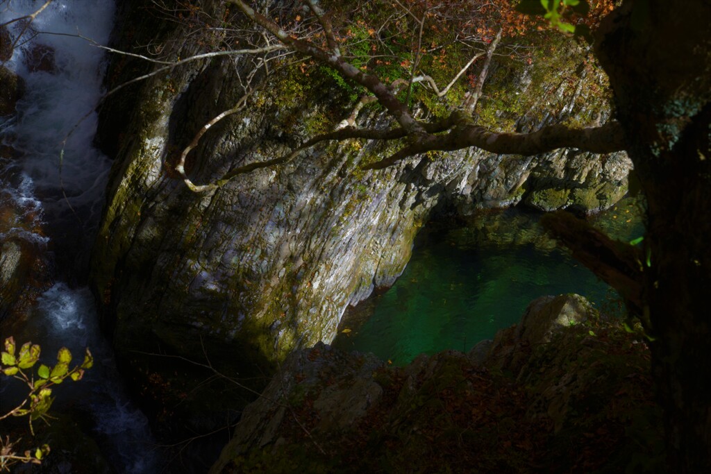 静と動。。。！