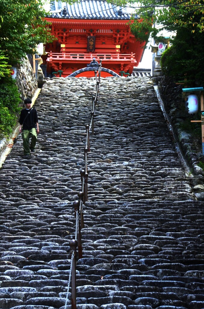 道後．．伊佐爾波神社　➁。。。！
