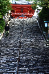 道後．．伊佐爾波神社　➁。。。！