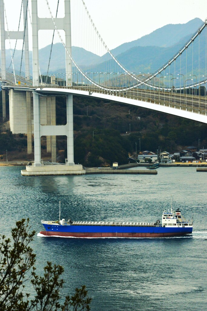 迎春の来島大橋　➂。。。！