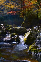 金色の小田深山　➁。。。！