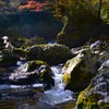 金色の小田深山　➁。。。！