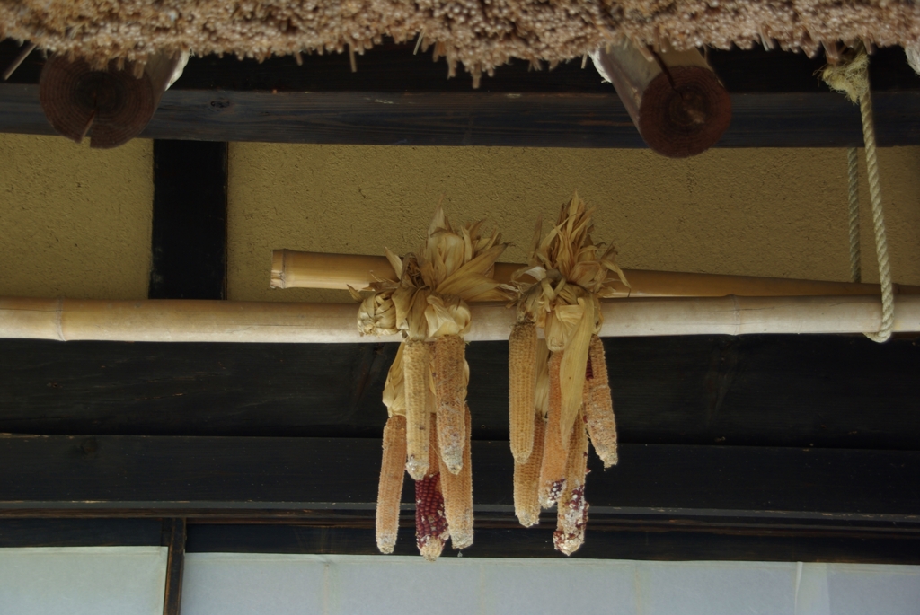 懐かしい光景。。。！