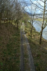 春せせらぎの小径　④。。。！