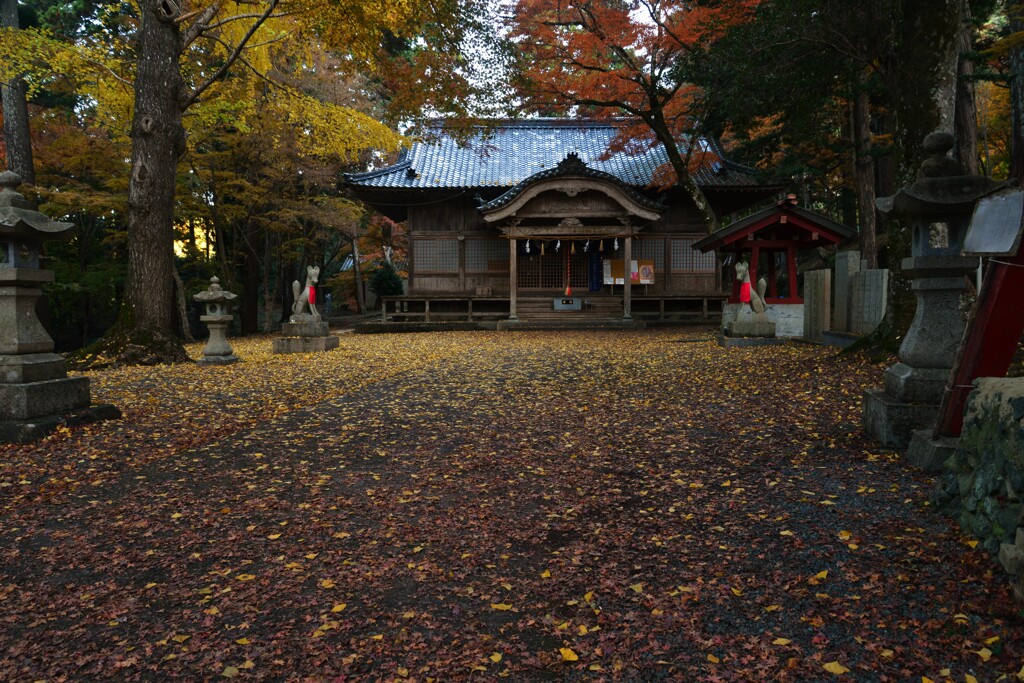 晩秋の迷宮への招待　②。。。！