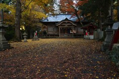 晩秋の迷宮への招待　②。。。！