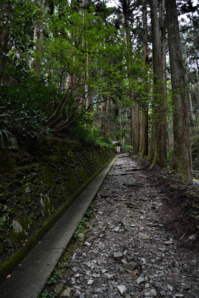 八十八霊場への路　（久万大寶寺）。。。！