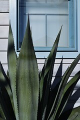 My favorite place 　⑦。。。！