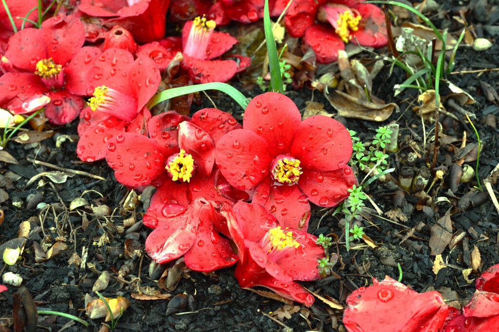 季節の悲哀。。。！