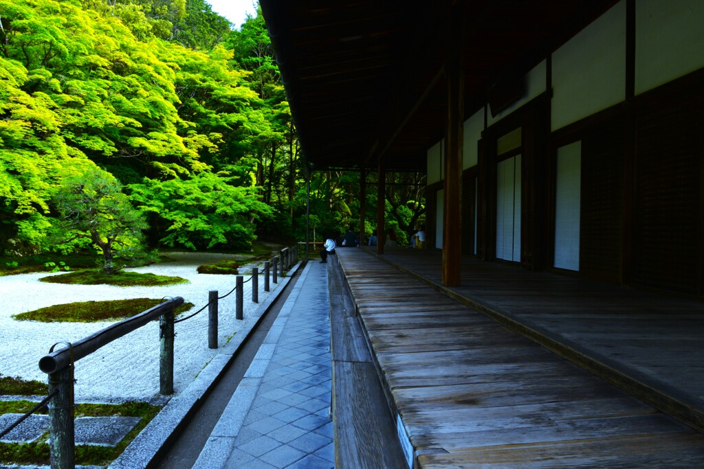 新緑の京都天授庵　⑥。。。！