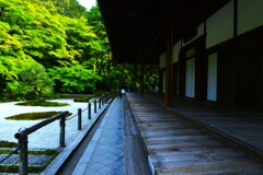 新緑の京都天授庵　⑥。。。！