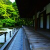 新緑の京都天授庵　⑥。。。！