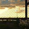 洛陽の河川敷　②。。。！