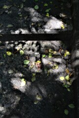 陰の優しさ　②。。。！