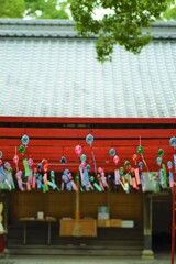 風鈴の音渡る神社　①。。。！