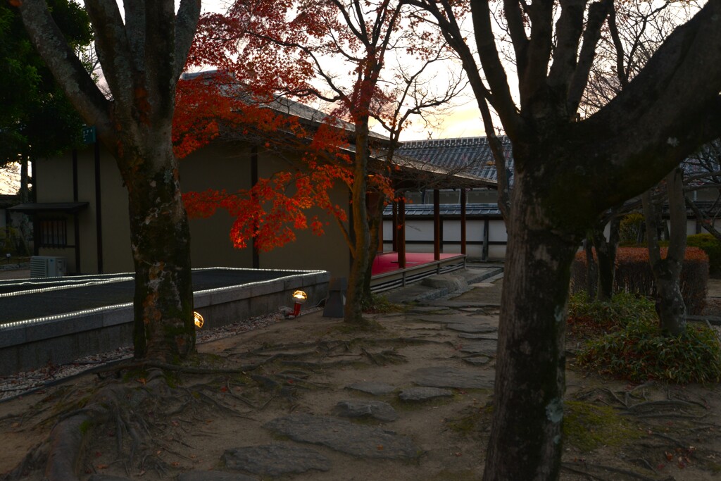 初冬の二の丸庭園　①。。。！