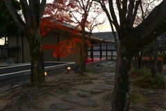 初冬の二の丸庭園　①。。。！