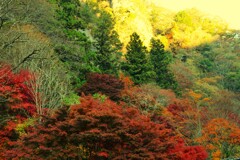 錦絵の古岩屋　②。。。！