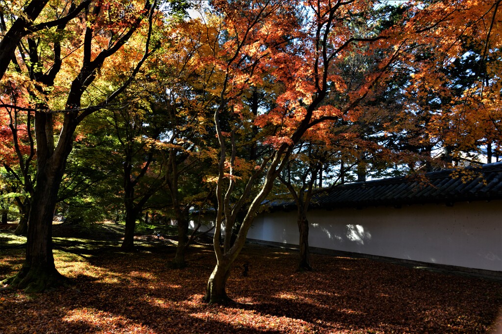 錦絵の古都【東福寺編】　④