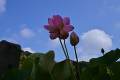 黄泉がえり。。。！